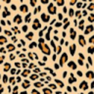 Meet your Posher, Ella